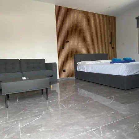 Nissi Avenue 公寓 圣纳帕