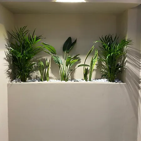 アパート Nissi Avenue アヤナパ