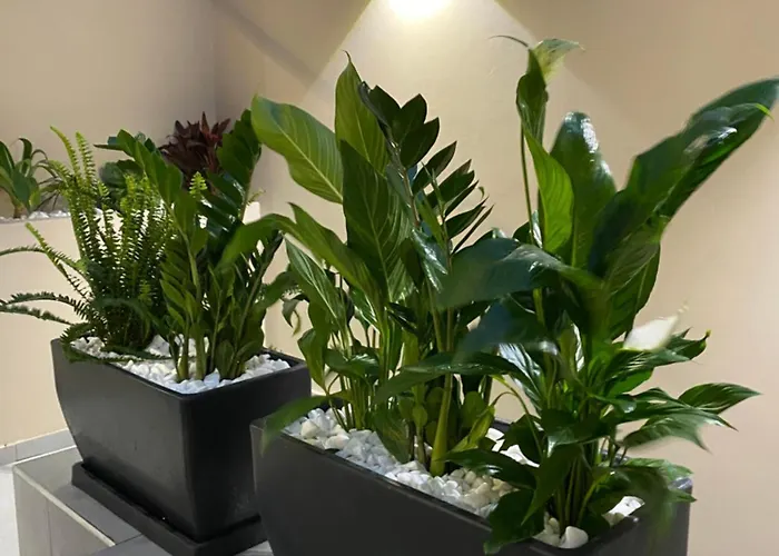 Nissi Avenue * Ayia Napa